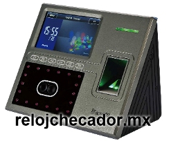 zk iface 800 digital y rostro